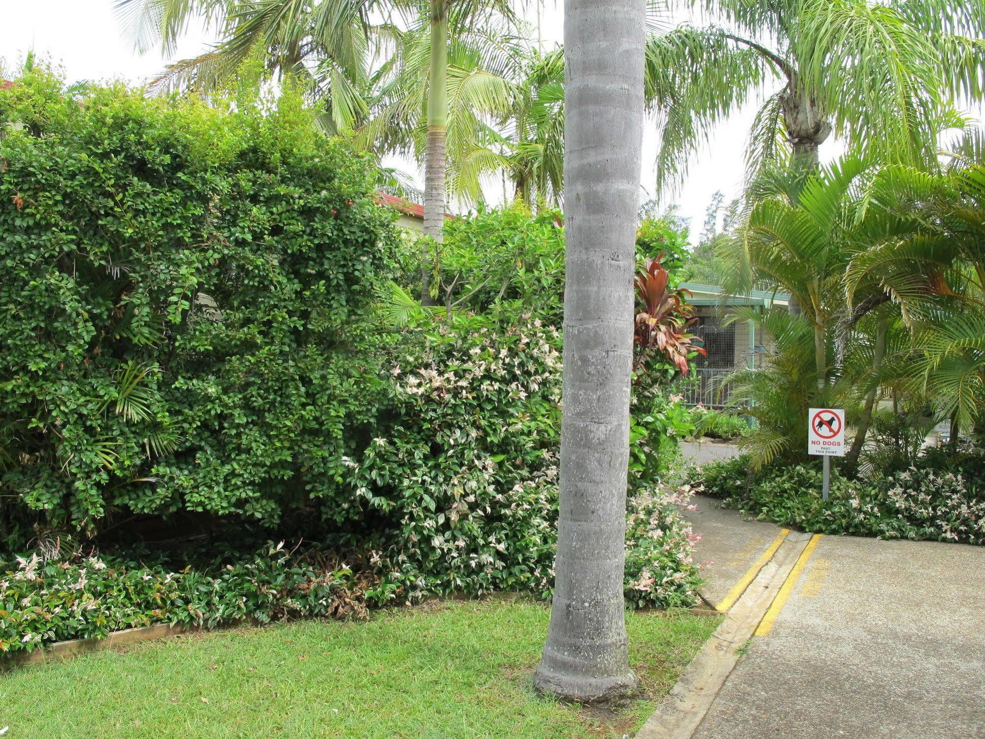 Melaleuca Caravan Park Port Macquarie Buitenkant foto